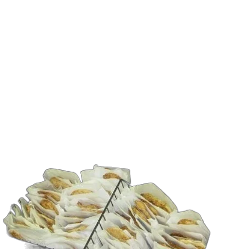 shoes, food, jacket, jewelry transparent PNG cut-out