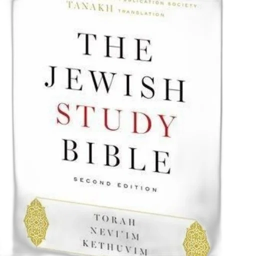 cover, jewish, study, bible transparent PNG cut-out