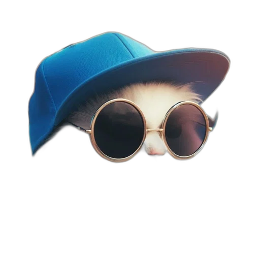 hat, mask, jacket, face transparent PNG cut-out