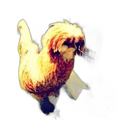 animal, dragon, creature, mask transparent PNG cut-out
