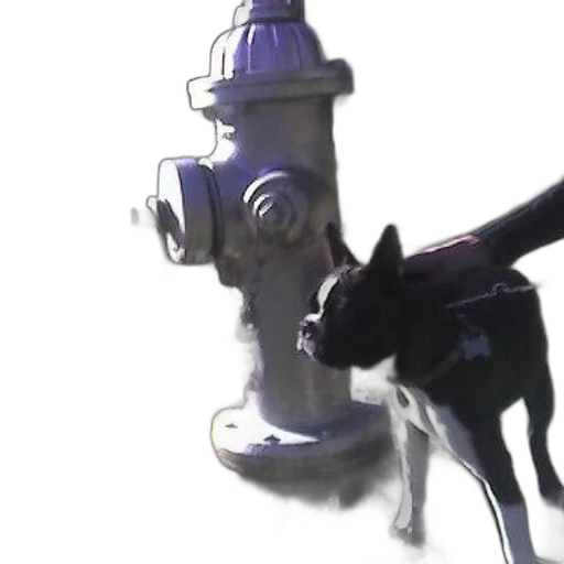 staff, animal, weapon, robot transparent PNG cut-out