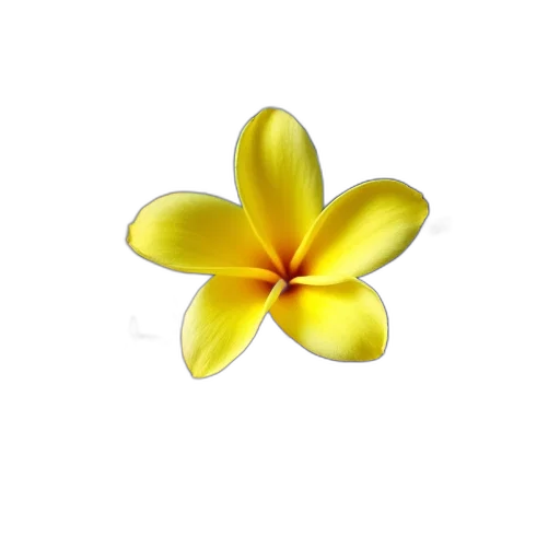 flower, jewelry, crown, staff transparent PNG cut-out