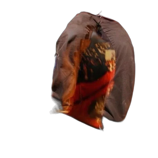 jacket, hat, mask, animal transparent PNG cut-out