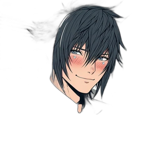 face, mask, hair, dragon transparent PNG cut-out