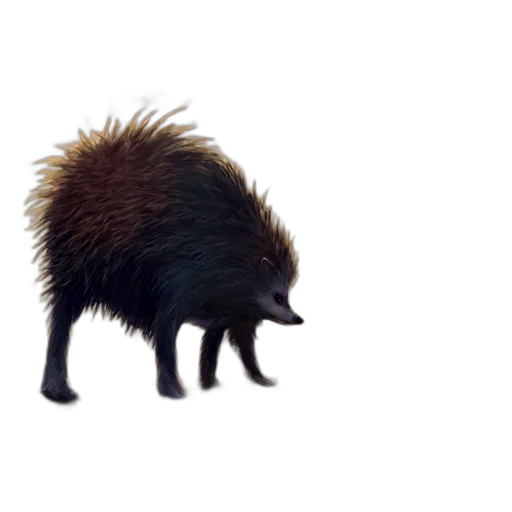 animal, creature, hair, dragon transparent PNG cut-out