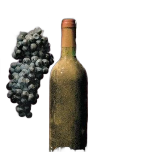 bottle, weapon, food, photorealistic transparent PNG cut-out