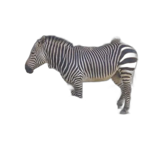 animal, creature, furniture, robot transparent PNG cut-out