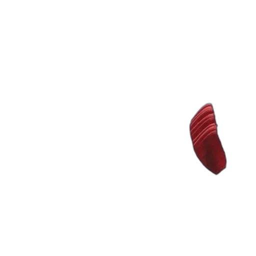 shoes, food, hat, umbrella transparent PNG cut-out
