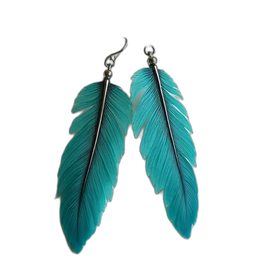jewelry, turquoise, silver, feather transparent PNG cut-out