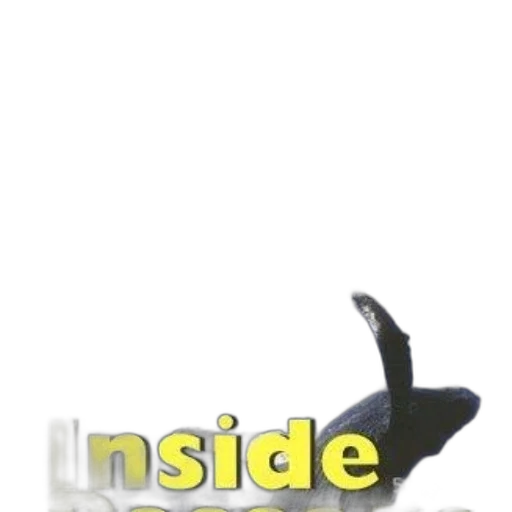 creature, animal, umbrella, shoes transparent PNG cut-out