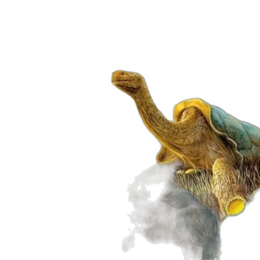 dragon, animal, creature, hat transparent PNG cut-out