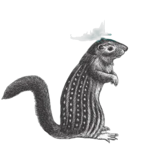 creature, hat, animal, dragon transparent PNG cut-out
