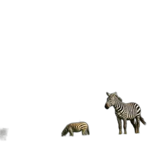 animal, creature, concept art, 3d render transparent PNG cut-out