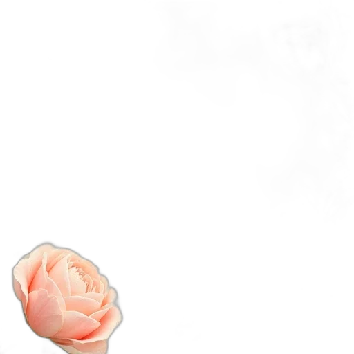 flower, staff, crown, jewelry transparent PNG cut-out