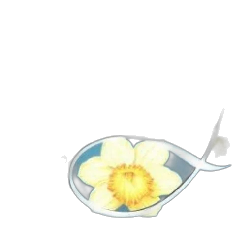 food, flower, weapon, jewelry transparent PNG cut-out