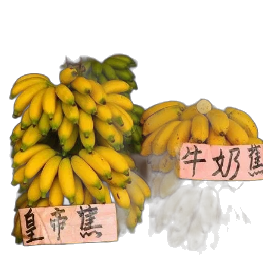 flower, crown, food, staff transparent PNG cut-out