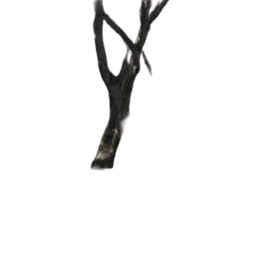 staff, crown, jewelry, tree transparent PNG cut-out