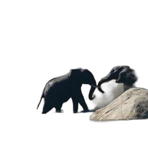 animal, creature, 3d render, concept art transparent PNG cut-out