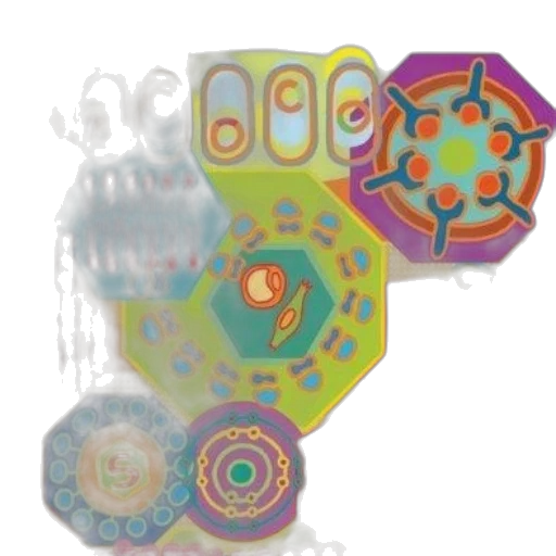jewelry, umbrella, mask, 3d render transparent PNG cut-out