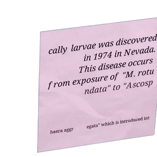 vaporwave, poster, text, about transparent PNG cut-out