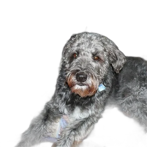 animal, creature, staff, photorealistic transparent PNG cut-out