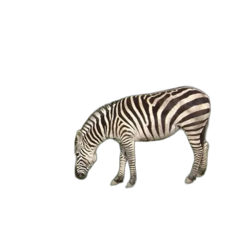 animal, creature, jewelry, furniture transparent PNG cut-out