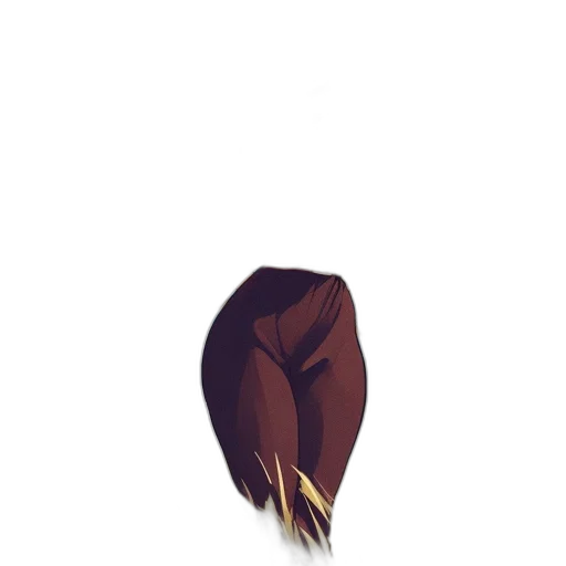 hair, hat, jacket, crown transparent PNG cut-out