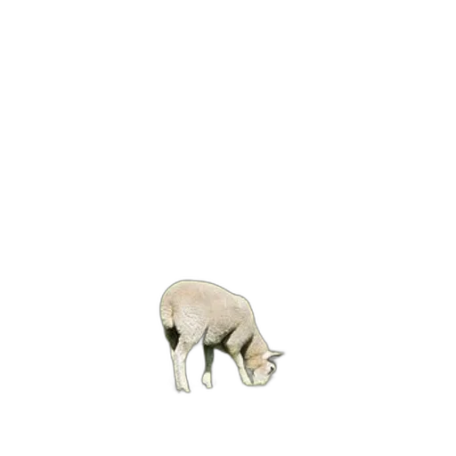 animal, creature, furniture, staff transparent PNG cut-out