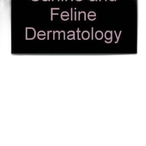 cover, canine, feline, dermatology transparent PNG cut-out
