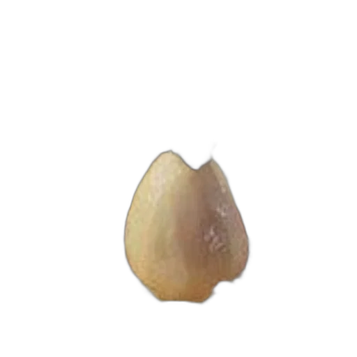 crown, food, jewelry, hair transparent PNG cut-out