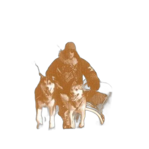 animal, creature, jacket, staff transparent PNG cut-out