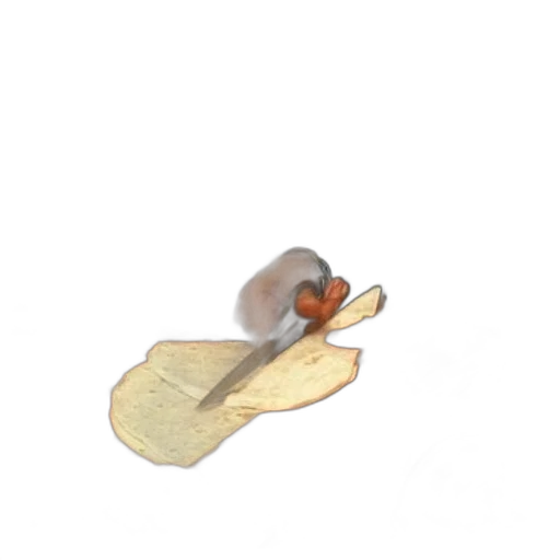 food, animal, hat, creature transparent PNG cut-out