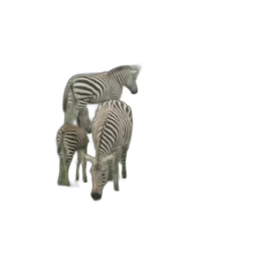 animal, furniture, creature, jewelry transparent PNG cut-out