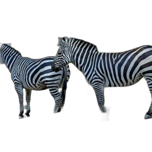 animal, furniture, jewelry, 3d render transparent PNG cut-out