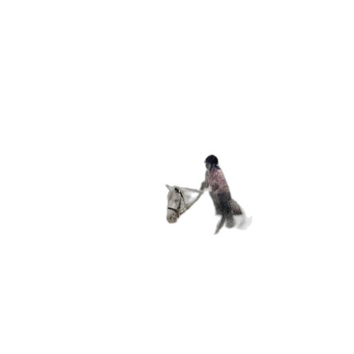 animal, creature, dragon, umbrella transparent PNG cut-out