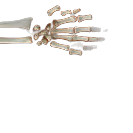 jewelry, staff, weapon, crown transparent PNG cut-out