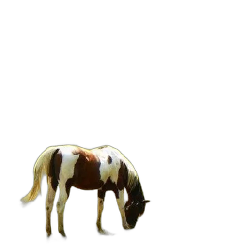animal, creature, robot, weapon transparent PNG cut-out