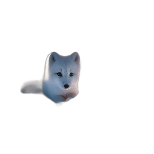 animal, creature, robot, staff transparent PNG cut-out