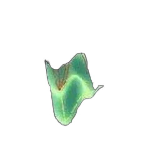 dragon, creature, animal, shoes transparent PNG cut-out