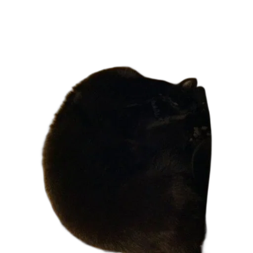 hat, animal, crown, staff transparent PNG cut-out