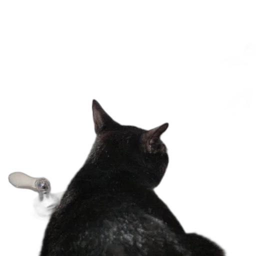 staff, animal, robot, creature transparent PNG cut-out