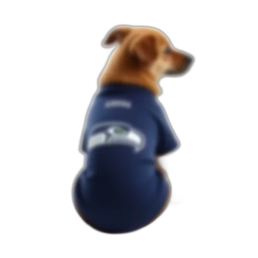 staff, hat, animal, jacket transparent PNG cut-out