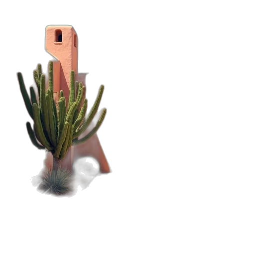 bottle, creature, flower, animal transparent PNG cut-out