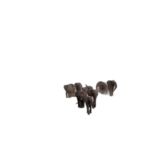 animal, staff, hair, creature transparent PNG cut-out