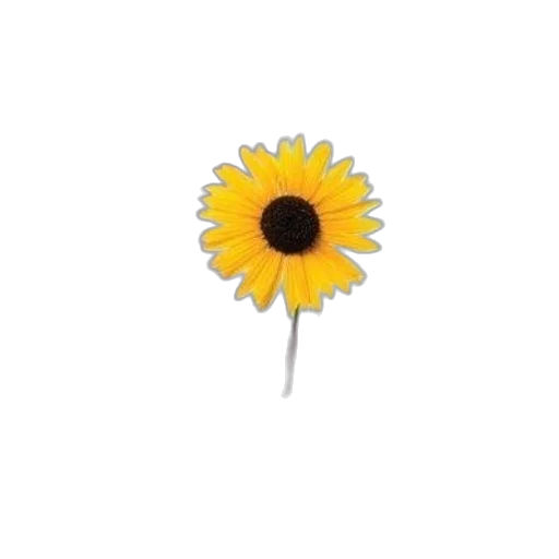 flower, staff, jewelry, crown transparent PNG cut-out