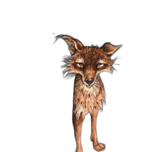 animal, creature, staff, mask transparent PNG cut-out