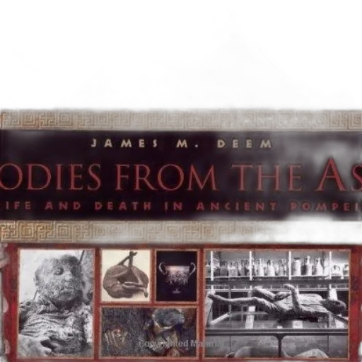 book, bodies, ash, life transparent PNG cut-out