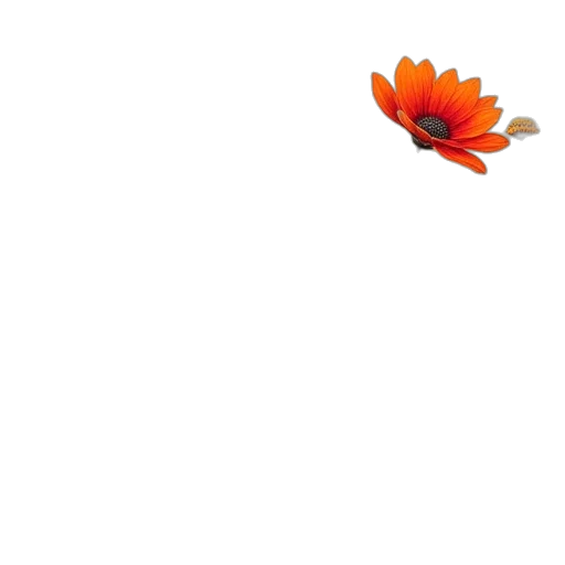 flower, animal, weapon, crown transparent PNG cut-out
