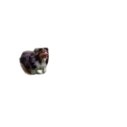 animal, creature, robot, staff transparent PNG cut-out