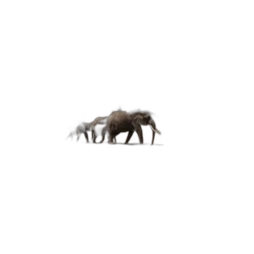 animal, creature, dragon, furniture transparent PNG cut-out